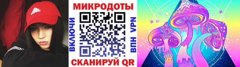 сколько стоит кракен маркетплейс Галлюциногенные грибы Psilocybe Воронеж