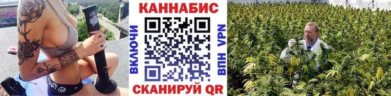 Конопля сатива что такое Воронеж